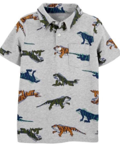 Dinosoar shirt Dinosoar shirt