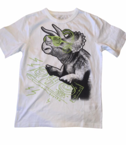 Dinosour Tee Dinosour Tee