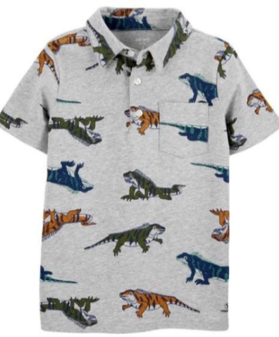 Dinosoar shirt