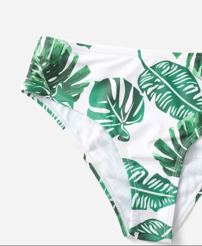 Plant Print Bikini Swimsuit With Cover Up